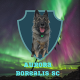 AuRORA Borealis SC Profile Picture