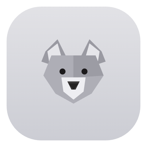 Indy South Chinchillas