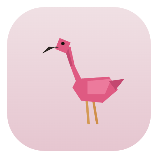 Indy South Lesser Flamingos